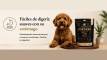 WhatsApp Image 2026-08-24 at 1.08.38 PM (3)