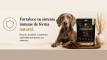 WhatsApp Image 2026-08-24 at 1.08.38 PM (1)