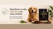 WhatsApp Image 2026-08-24 at 1.08.38 PM (4)